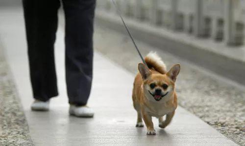 ⭐一手包售后
陌陌验证号
怎么买